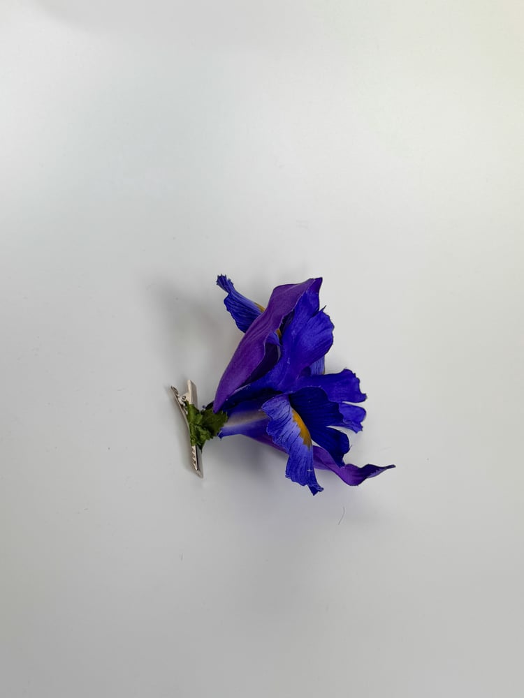 Image of violet iris clip 