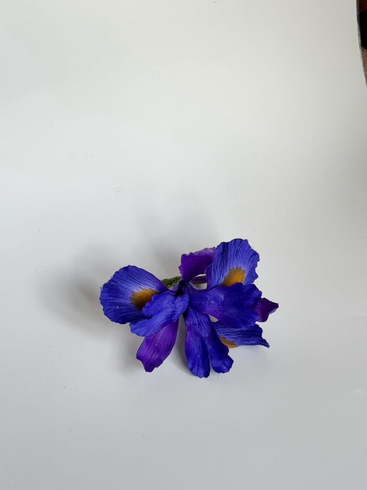 Image of violet iris clip 