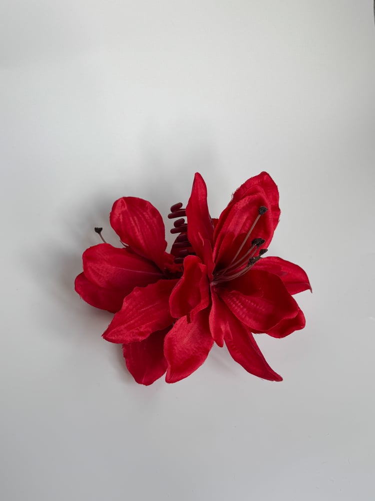 Image of red amaryllis claw clip