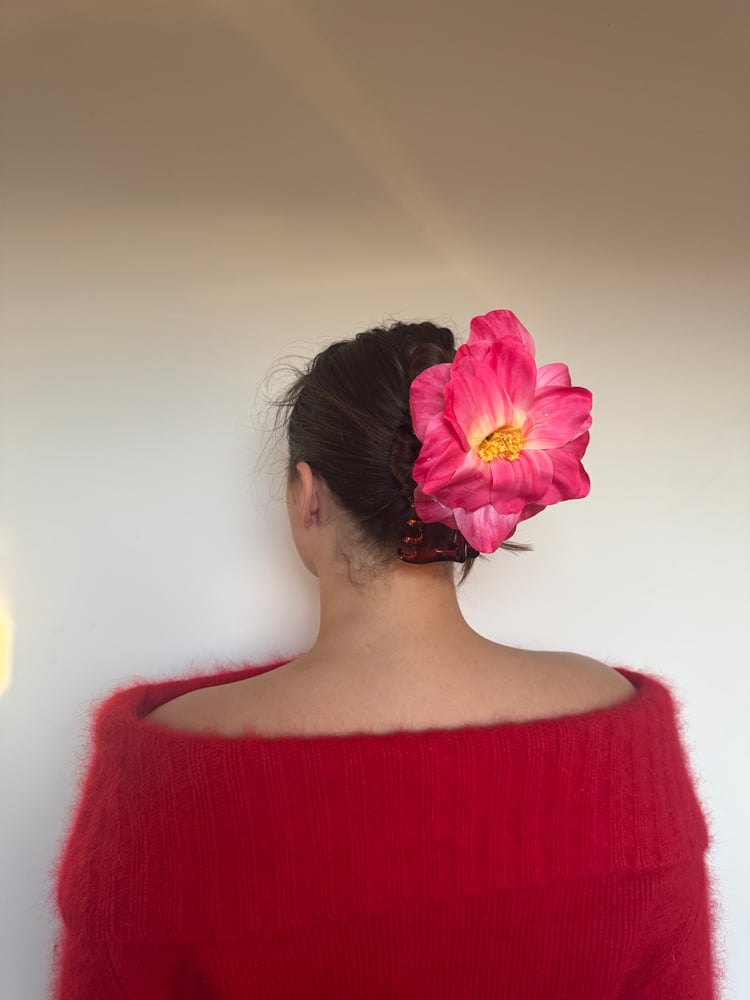 Image of large rhubarb peony claw 