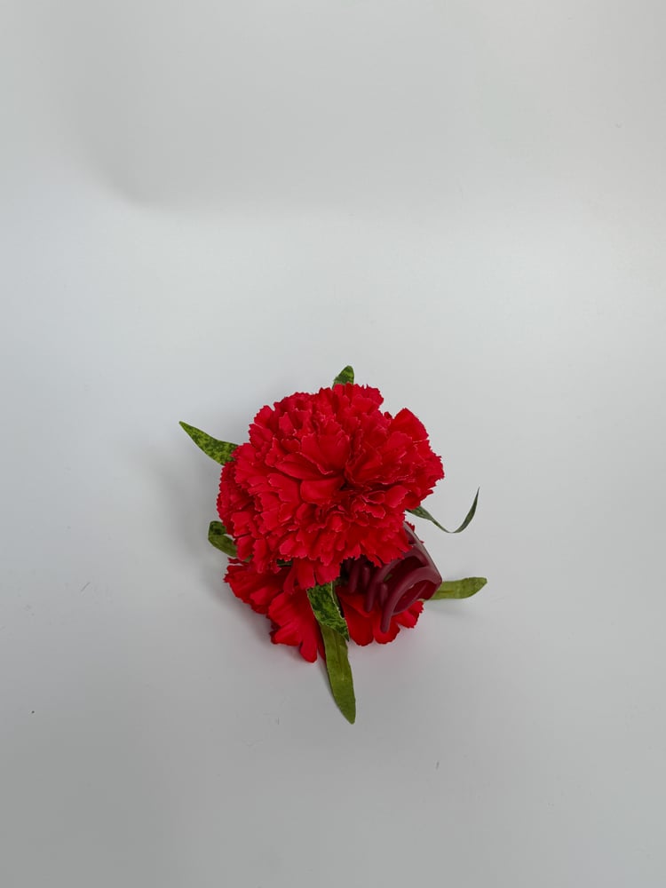 Image of carnation claw clip