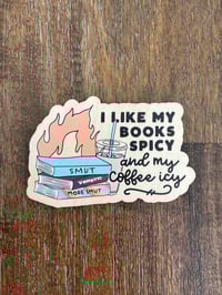 Image 1 of I Like My Books Spicy and my Coffee Icy Book Club Reader Magnet