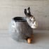 Donkey pen pot. Hand made pottery. Image 5