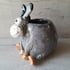 Donkey pen pot. Hand made pottery. Image 3