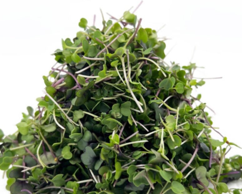 Image of 16 oz. Salad Mix
