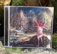 Image 2 of OMNICIDAL INSTINCT "Catharsis In Blight" CD [[SHIPS 02.07.2025]]