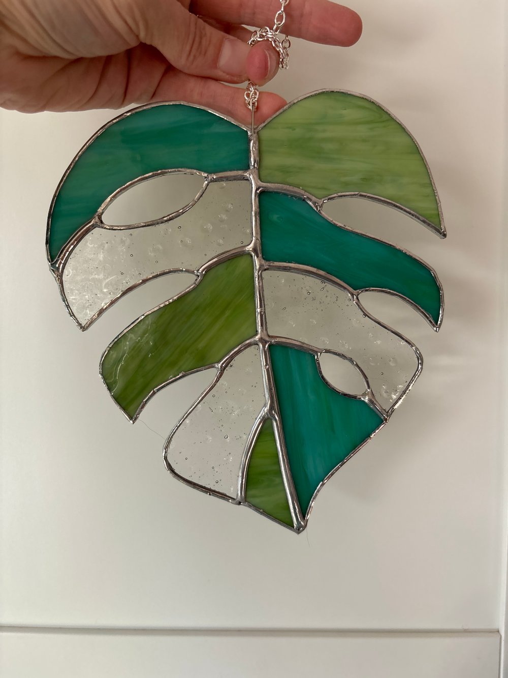 Image of Monstera Leaf