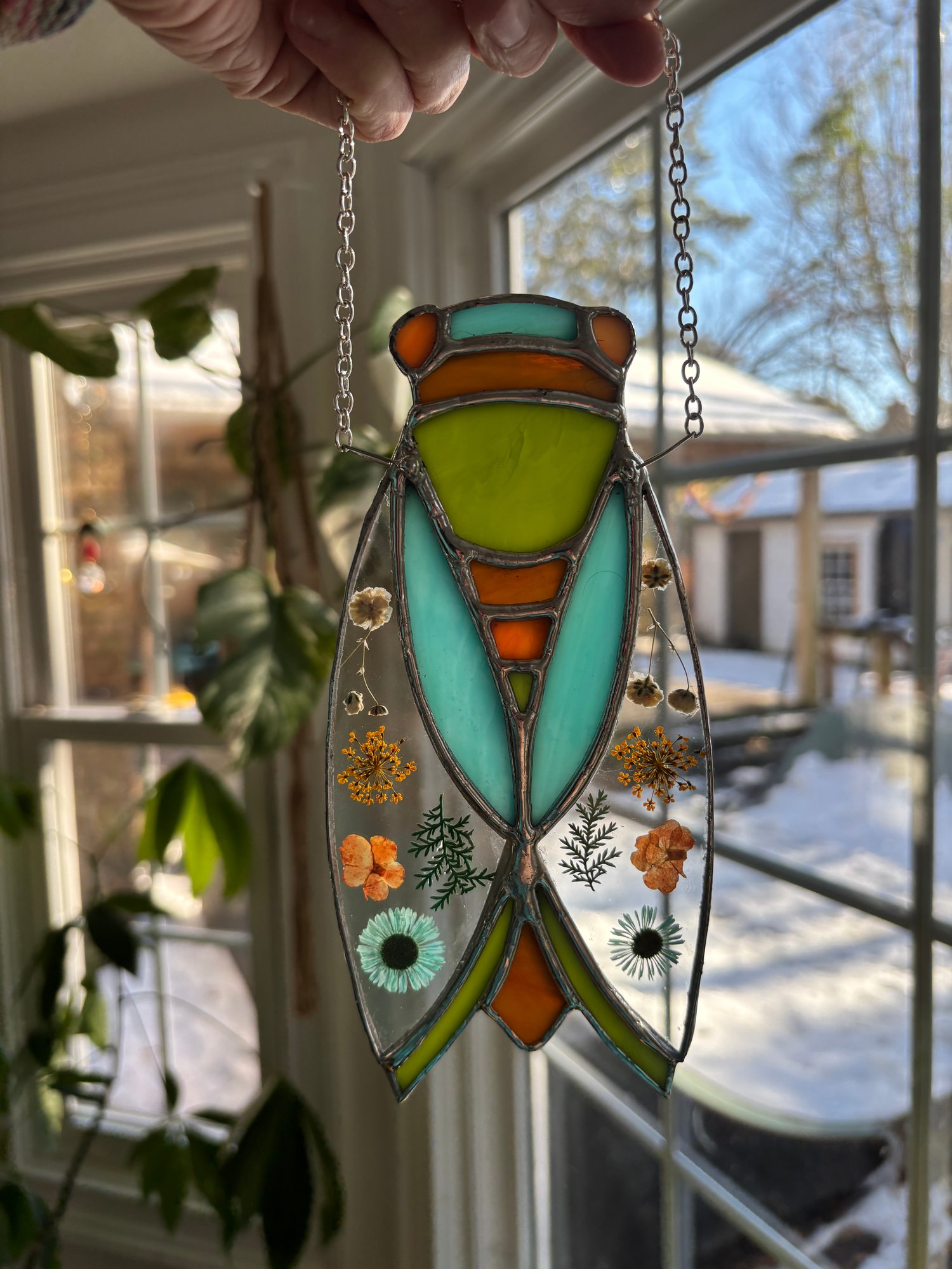 Image of Cicada with Pressed Flowers 