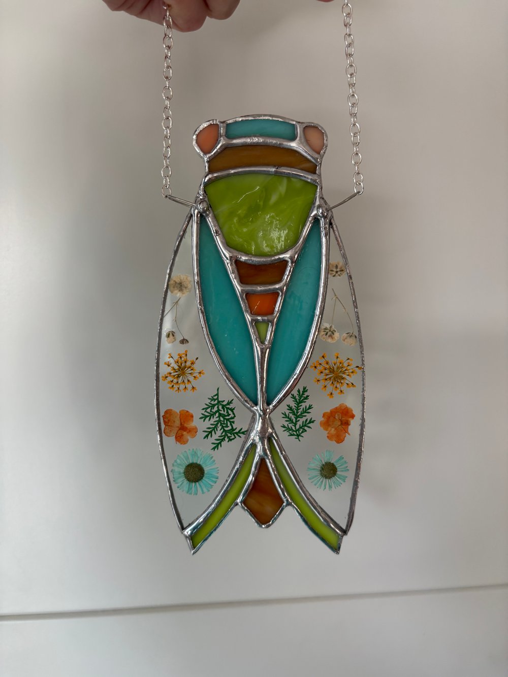 Image of Cicada with Pressed Flowers 