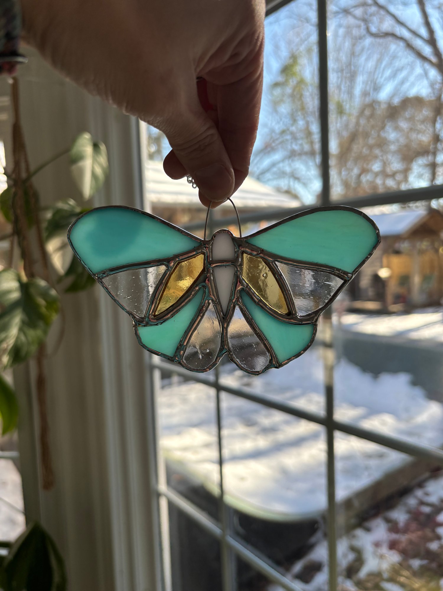 Image of Small Butterfly