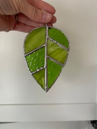 Image 1 of Green Leaf