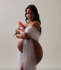 Image 1 of Silk/Chiffon /Tulle fabric