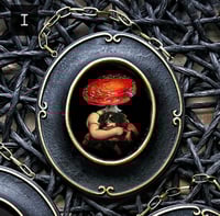 Image 2 of Fungi Folk Portraits IV