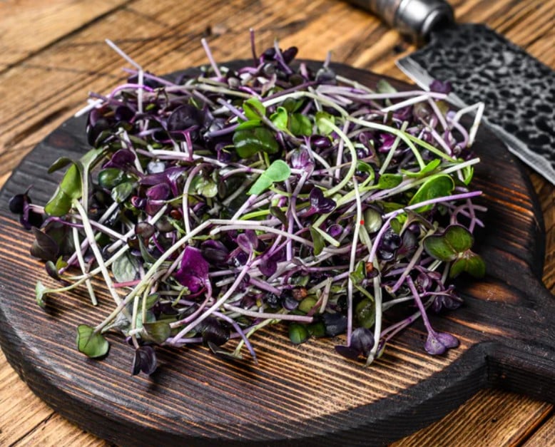 Image of 16 oz. Radish Microgreens