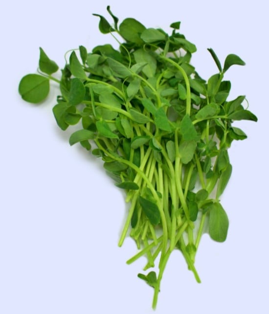 Image of 16 oz. Pea Microgreens