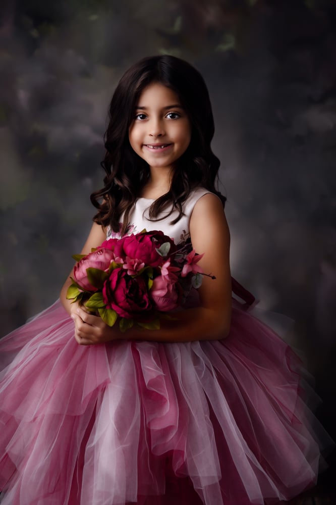 Image of Dream Dress Sessions