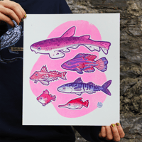 Image 1 of Plymouth Sound Fish - Large Screen Print