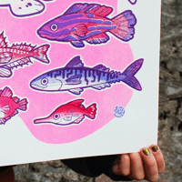 Image 2 of Plymouth Sound Fish - Large Screen Print