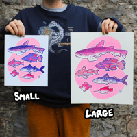 Image 3 of Plymouth Sound Fish - Large Screen Print