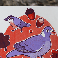 Image 2 of Beaumont Park Birds - Large Screen Print