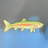 Rainbow Trout