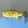 Small Mouth Bass