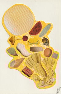 Image 2 of Amarillo Study