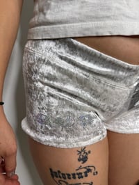 Image 1 of 909 Microshorts