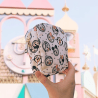 Park Pals Mini Pouch