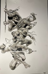 Image 1 of Teenage Mutant Ninja Turtles IDW stock cover