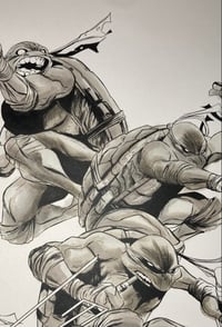 Image 2 of Teenage Mutant Ninja Turtles IDW stock cover