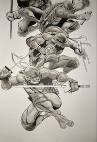 Image 4 of Teenage Mutant Ninja Turtles IDW stock cover