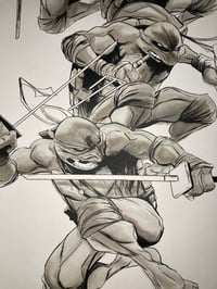 Image 5 of Teenage Mutant Ninja Turtles IDW stock cover