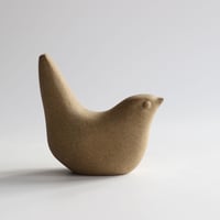 Image 4 of Hedge Bird