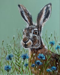 Hare in cornflowers