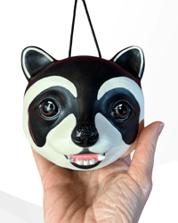 Image 4 of Raccoon Moon