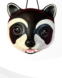 Image 1 of Raccoon Moon
