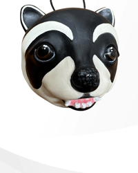Image 2 of Raccoon Moon