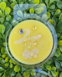 Image 2 of Iced Lemon Pound Cake Cookies- a Rockytop Wax Works exclusive custom houseblend fragrance 