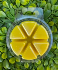 Image 3 of Iced Lemon Pound Cake Cookies- a Rockytop Wax Works exclusive custom houseblend fragrance 