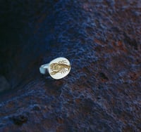 Image 5 of Lobster Signet 