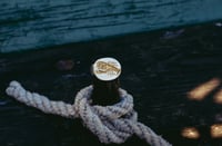 Image 6 of Lobster Signet 