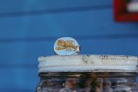 Image 9 of Lobster Signet 