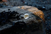 Image 10 of Lobster Signet 