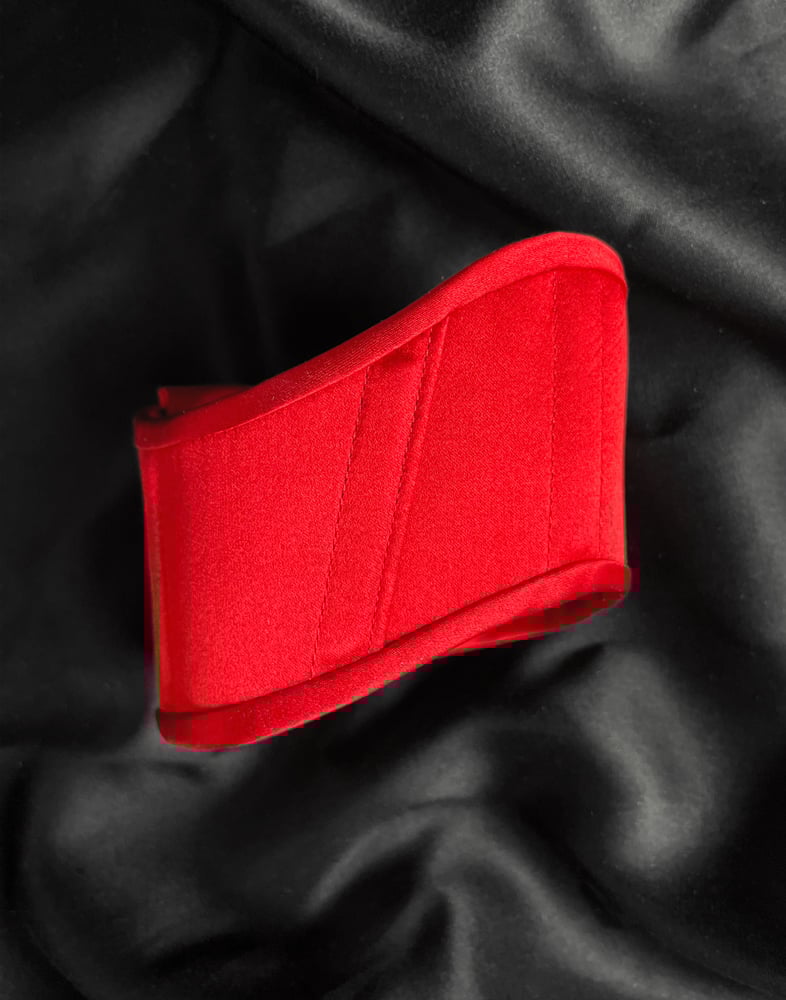 Image of CANICE SILK POSTURE COLLAR RED