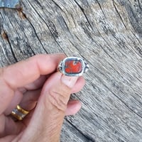 Image 1 of Coral Classic, US 7
