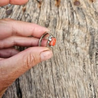 Image 4 of Coral Claw, US 8.5