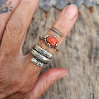 Image 1 of Coral Claw, US 8.5
