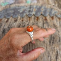 Image 1 of Coral Bead, US 9