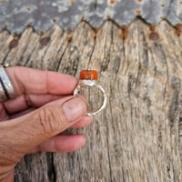 Image 2 of Coral Bead, US 9